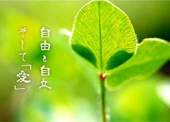 医療法人 慧眞会 介護老人保健施設 サングレイスの看護師/准看護師 介護施設 介護老人保健施設 正社員求人イメージ